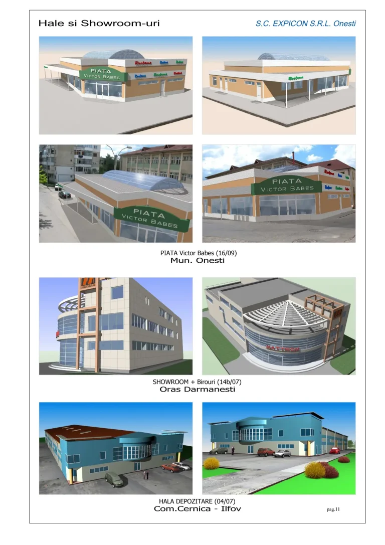 Proiect Piața Victor Babeș Onești, showroom Dărmănești și hală de depozitare Cernica