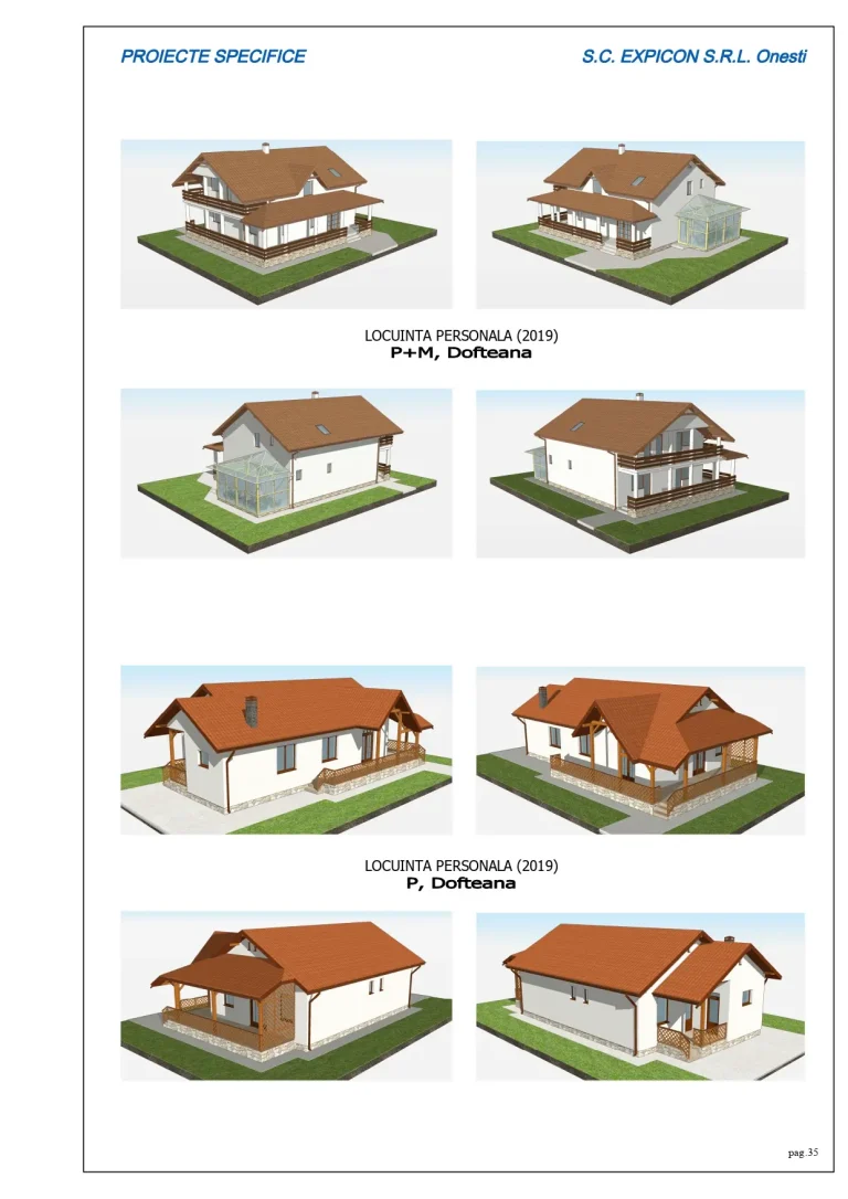 Proiecte locuințe personale P și P+M din 2019 în Dofteana